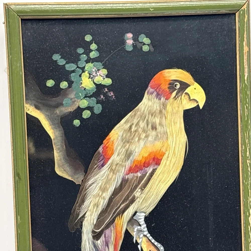Vtg Mexican Feather Craft Art Bird Picture Wood Frame Multicolored 14.5x6.5